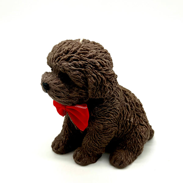 Puppy - Dark Brown - theattik.com.au